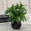 (2 green) artificial plant artificial bamboo decoration 5
