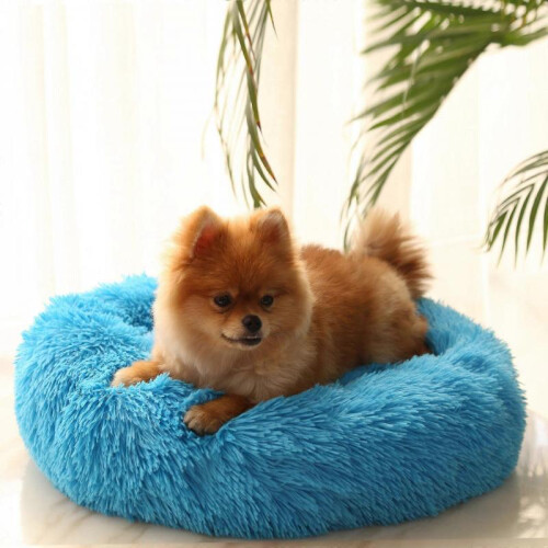 (Lake Blue) Pet Kennel Round Super Soft Fluffy Comfortable Mat