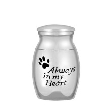(S, always in My heart) Aluminum Alloy Memorial Pet Coffin Urn - Small Souvenir Urn