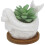 Mermaid Succulent Planter Pot Bamboo Drainage White Ceramic Cactus Container 1
