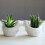 Mermaid Succulent Planter Pot Bamboo Drainage White Ceramic Cactus Container 3