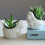 Mermaid Succulent Planter Pot Bamboo Drainage White Ceramic Cactus Container 2