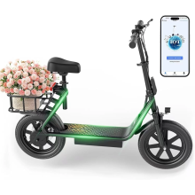 LADPED LPBS 500W Scooter - 21MPH/28 Mile Range, 48V, Hyd Shocks(Black)
