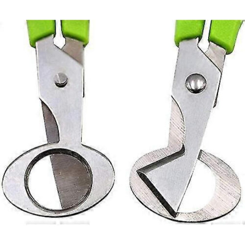 10pcs Quail Eggs Scissors, Quail Egg Shell Cutter Stainless Steel Egg Shell Opener, Egg Shell Cutting Scissors 2