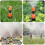 Ground Insert Atomizing Adjustable Dripper 360 Degree Drip Irrigation 50 Pcs 4