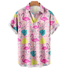 (6, XXXXXL) Duck 3d Print Shirts Men Fashion Hawaiian Shirt Short Sleeve Casual Beach Shirts Boys Single-breasted Blouse Men's Clothing