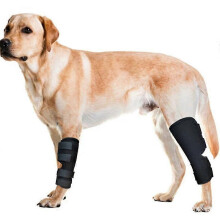 (L) (pair)dog Braces For Back Legs Super Supportive With Dual Metal Spring Inserts To Stabilize Dog Hind Legs, Help Dogs With Injuries, Sprains, Ar