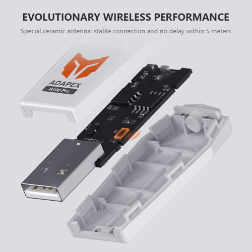 BIGBIG WON R100 Pro USB-Wireless-Adapter für Windows Switch PS4/PS5 XBOX Gamepad 1