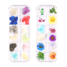 2 caixas de flores secas para unhas, decoração para unhas, manicure, flores secas mistas - estilo 4