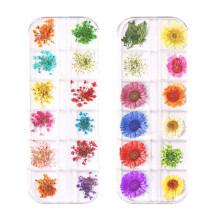 Schachteln getrocknete Nagelblumen, Nagelkunst-Dekor, Maniküre-Dekor, gemischte getrocknete Blumen, Stil 1
