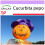 SAFLAX  - Laternenkürbis - Cucurbita - 10 Samen 1