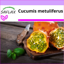 SAFLAX  - Kiwano Horngurka - Cucumis - 10 Samen