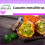 SAFLAX - Kiwano concombre à cornes - 10 graines - Cucumis metuliferus 1
