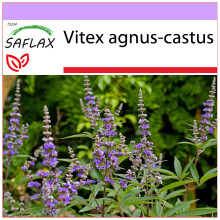 SAFLAX  - Mönchspfeffer - Vitex - 30 Samen