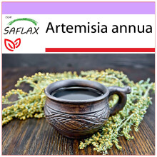 SAFLAX  - Chinesischer Beifuß - Artemisia - 250 Samen