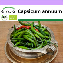 SAFLAX - BIO - Chili - Sigaretta di Bergame - 10 graines - Capsicum annuum