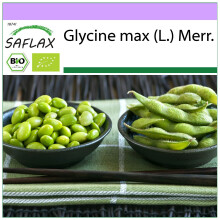 SAFLAX - BIO - Soia - fagioli Edamame - 8 semi - Glycine