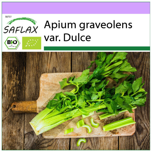 SAFLAX  - Sellerie - Apium - 500 Samen