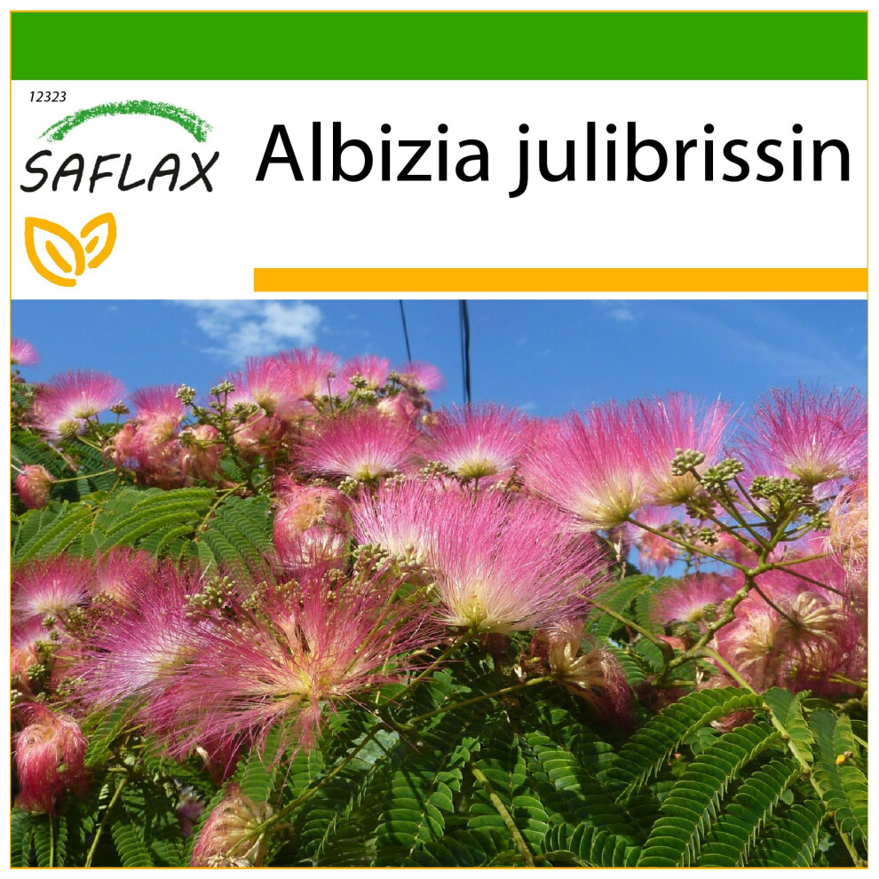 Saflax - Pinc Acacia - 50 Seeds - With Germ-Free Growing Substrate - Albizia Julibrissin