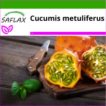 SAFLAX  - Kiwano Horngurka - Cucumis - 10 Samen - Mit Substrat
