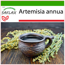 SAFLAX  - Chinesischer Beifuß - Artemisia - 250 Samen - Mit Substrat