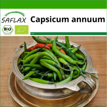 SAFLAX - Peperoncino - Sigaretta di Bergamo - 10 semi - Con substrato - Capsicum
