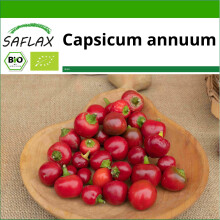 SAFLAX - Peperoncino - Piccante Cilieglia - 10 semi - Con substrato - Capsicum