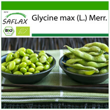 SAFLAX - BIO - Soia - fagioli Edamame - 8 semi - Con substrato - Glycine