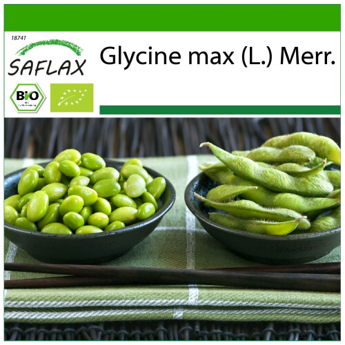 SAFLAX  - Edamame - Glycine - 8 Samen - Mit Substrat