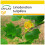 SAFLAX Anzucht Set - Echter Tulpenbaum - Liriodendron - 20 Samen 1