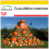 SAFLAX Anzucht Set - Kürbis – Giant - Cucurbita - 7 Samen 1