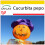 SAFLAX Anzucht Set - Laternenkürbis - Cucurbita - 10 Samen 1