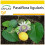 SAFLAX Anzucht Set - Süße Granadilla - Passiflora - 20 Samen 1