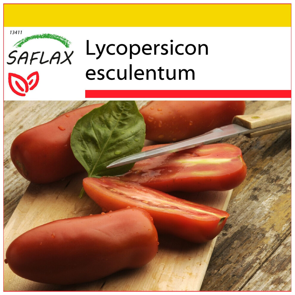 SAFLAX - Ensemble de culture - Tomate San Marzano - 10 graines - Avec mini serre, substrat de culture et 2 pots - Lycopersicon esculentum
