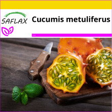 SAFLAX - Cultivation set - Kiwano Horned cucumber - 10 seeds - With mini greenhouse, growing substrate and 2 pots - Cucumis metuliferus