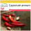 SAFLAX Anzucht Set - Chili – Cayenne - Capsicum - 20 Samen 1