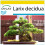 SAFLAX Anzucht Set - Lärche - Larix - 75 Samen 1