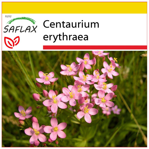 SAFLAX Anzucht Set - Tausendgüldenkraut - Centaurium - 250 Samen