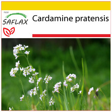 SAFLAX Anzucht Set - Wiesenschaumkraut - Cardamine - 100 Samen