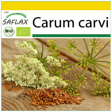 SAFLAX Anzucht Set - Kümmel - Carum - 800 Samen