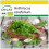 SAFLAX Anzucht Set - Kerbel - Anthriscus - 800 Samen 1