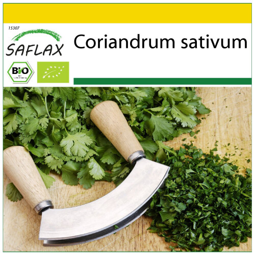 SAFLAX Anzucht Set - Koriander - Coriandrum - 150 Samen