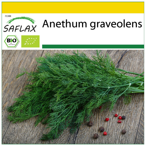 SAFLAX Anzucht Set - Dill - Anethum - 700 Samen