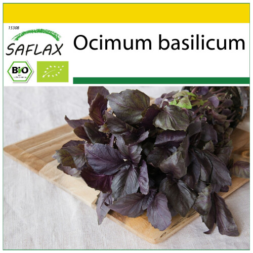 SAFLAX Anzucht Set - Rotes Basilikum - Ocimum - 400 Samen
