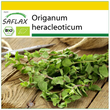 SAFLAX Anzucht Set - Oregano - Origanum - 1500 Samen