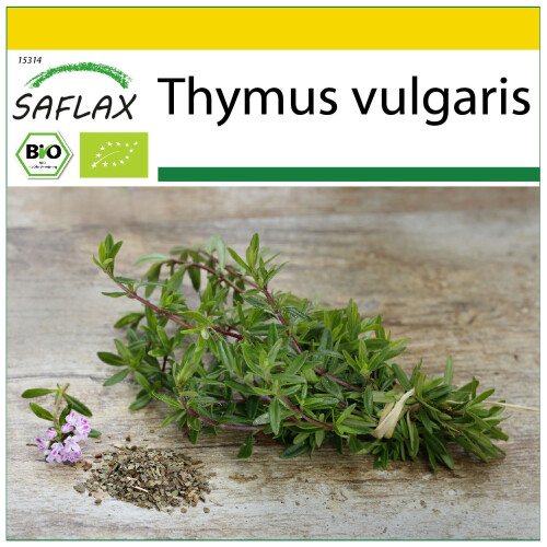 SAFLAX Anzucht Set - Thymian - Thymus - 800 Samen