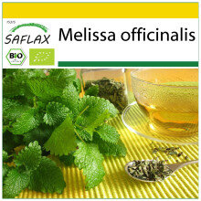 SAFLAX Anzucht Set - Zitronenmelisse - Melissa - 1000 Samen