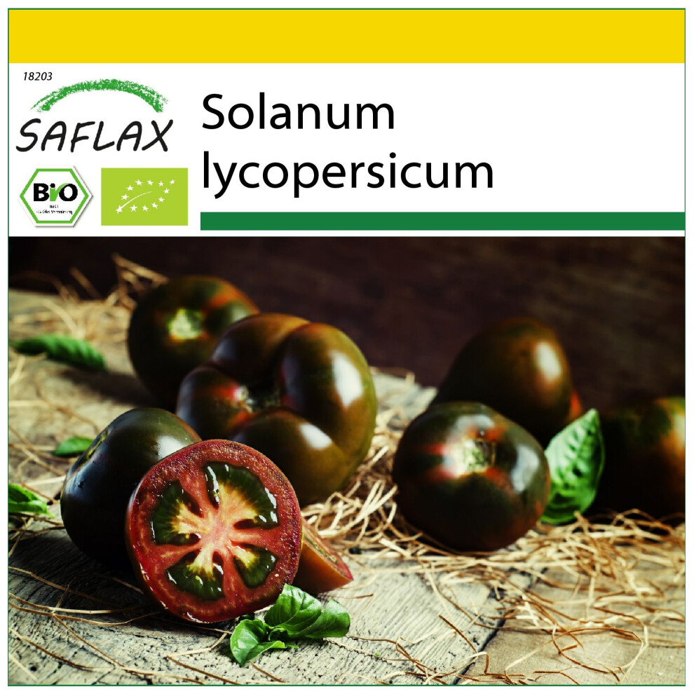 SAFLAX - Ensemble de culture - BIO - Tomate - Cerise noire - 10 graines - Avec mini serre, substrat de culture et 2 pots - Solanum lycopersicum