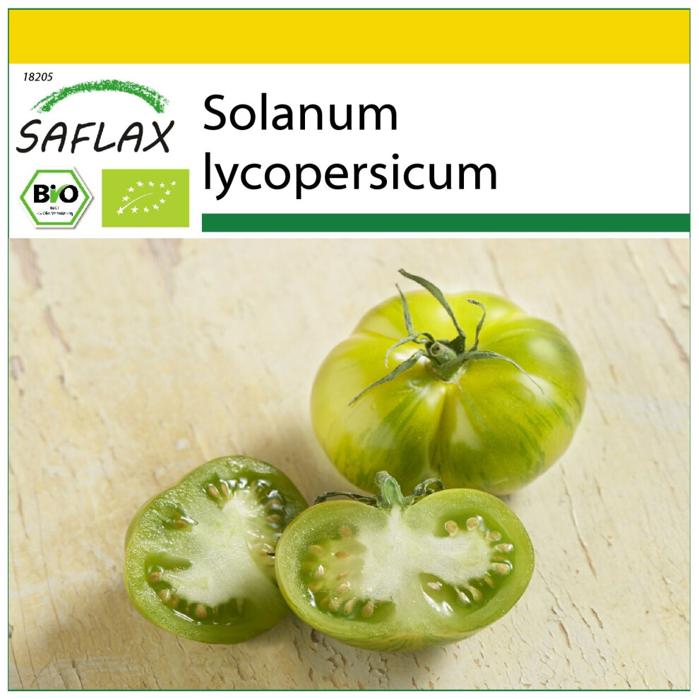 SAFLAX - Ensemble de culture - BIO - Tomate - Verte zébrée - 10 graines - Avec mini serre, substrat de culture et 2 pots - Solanum lycopersicum