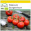 SAFLAX Anzucht Set - Tomate - Matina - Solanum - 10 Samen 1
